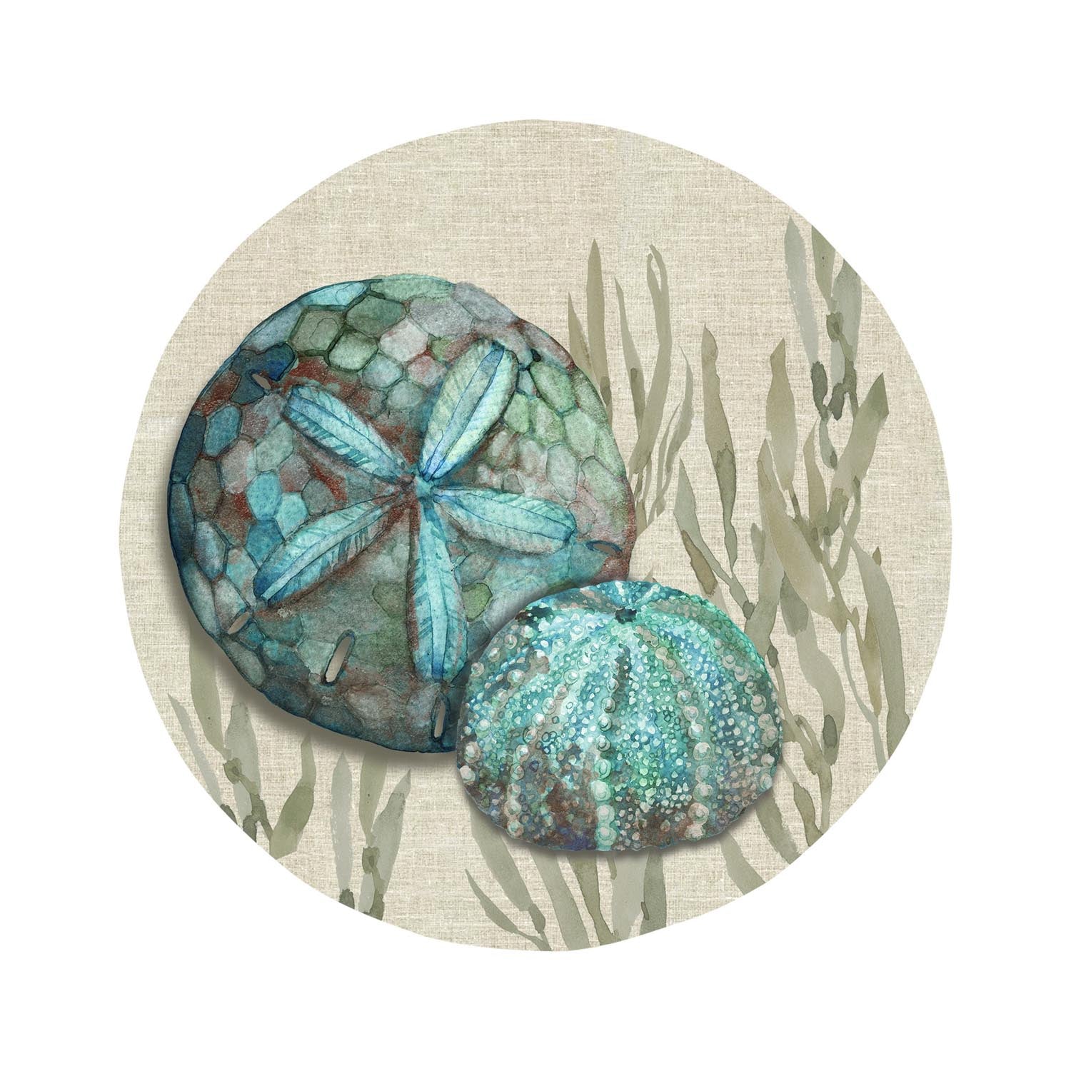 Crescent Beach 8.5 inch melamine salad plate sand dollar by Merritt Designs